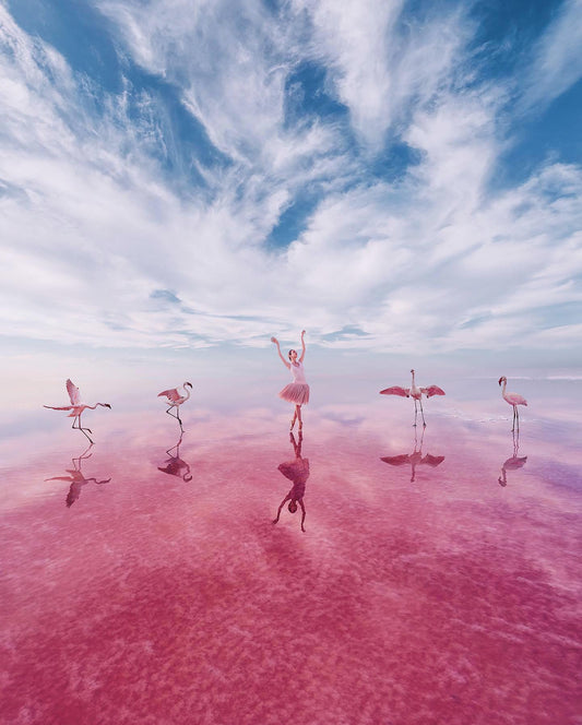 Ambitious Flamingo Fantasy by Helena Woods -